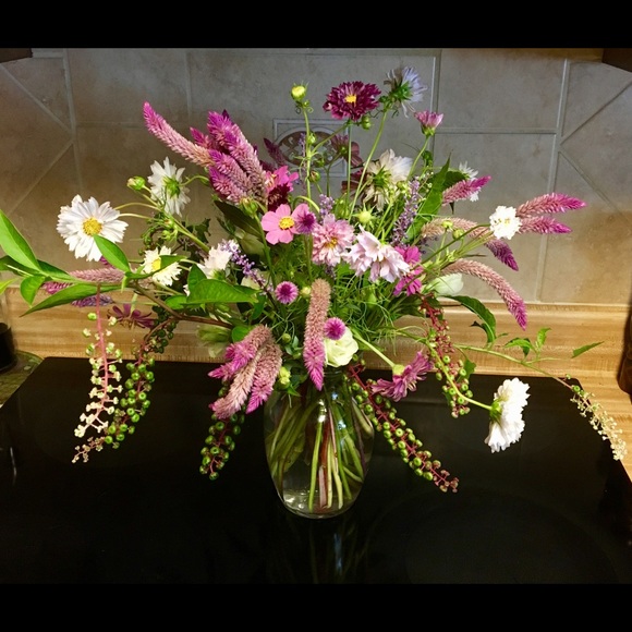 Meet your Posher, Lisa - Picture 3 of 16